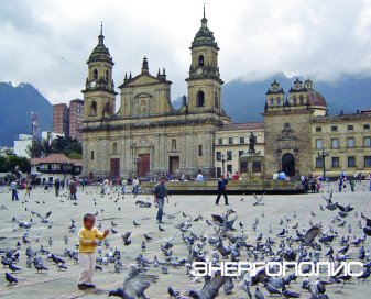 Богота