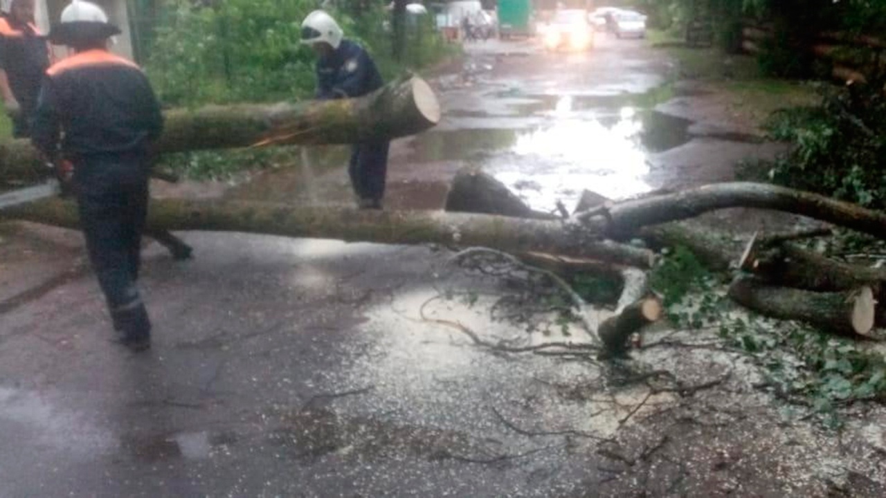 Ураган в Тверской области